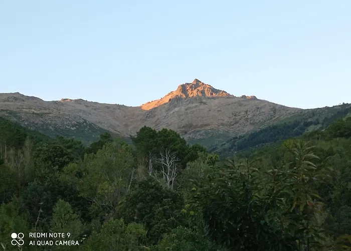 La Salamandra